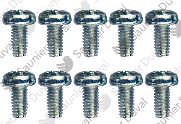 Vis, (x10) Saunier Duval - 0010026078
