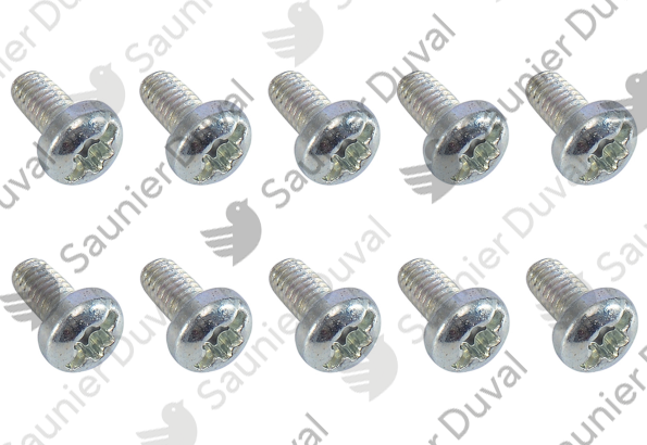 Vis, (x10) Saunier Duval - 0010026326