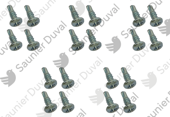 Vis, (5x4) Saunier Duval - 0010026941