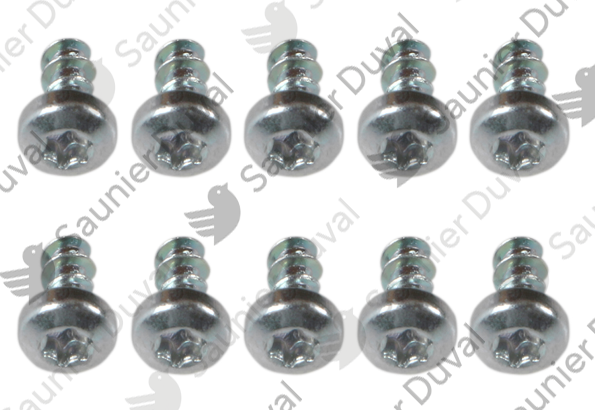 Vis, (x10) Saunier Duval - 0010027152