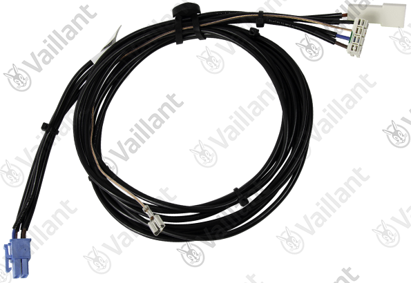 Faisceau, AllumeurIoni Vaillant - 0010029272
