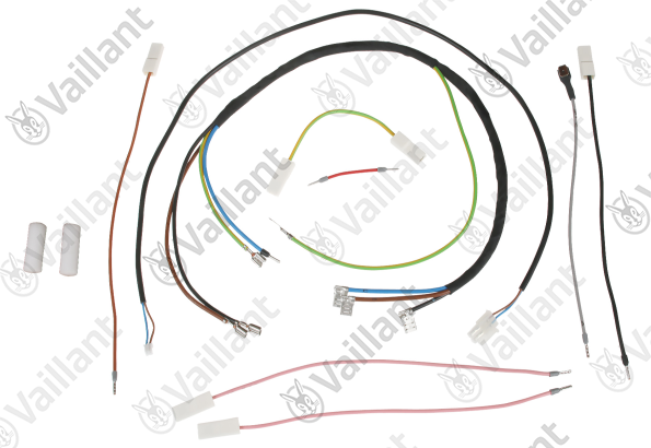 Faisceau Vaillant - 0010030965
