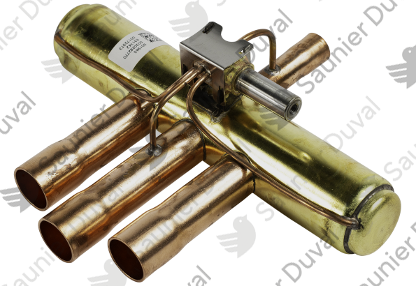 Valve Saunier Duval - 0010033618