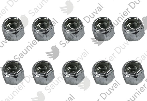 Ecrou, (x10) Saunier Duval - 0010033646