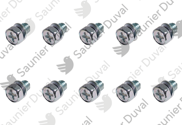 Vis, (x10) Saunier Duval - 0010033647