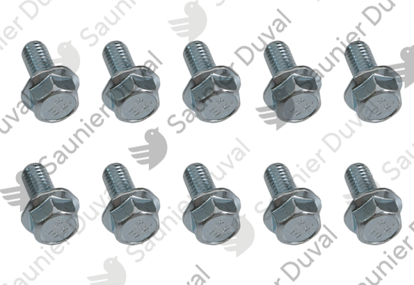 Vis, (x10) Saunier Duval - 0010033673