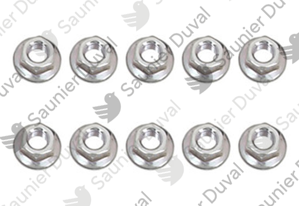 Ecrou, (x10) Saunier Duval - 0010034403