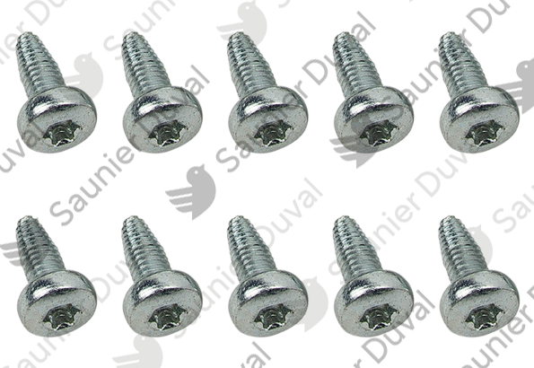 Vis, (x10) Saunier Duval - 0010036492