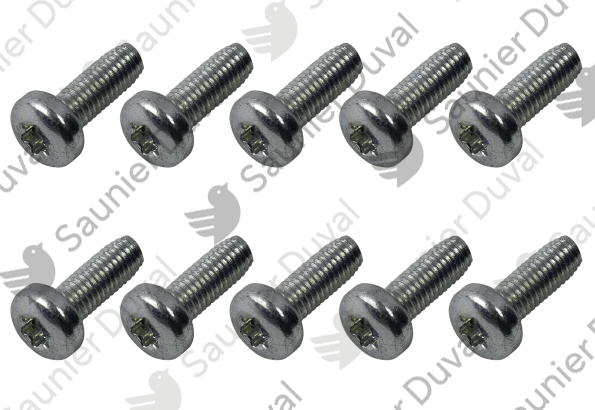 Vis, (x10) Saunier Duval - 0010036503