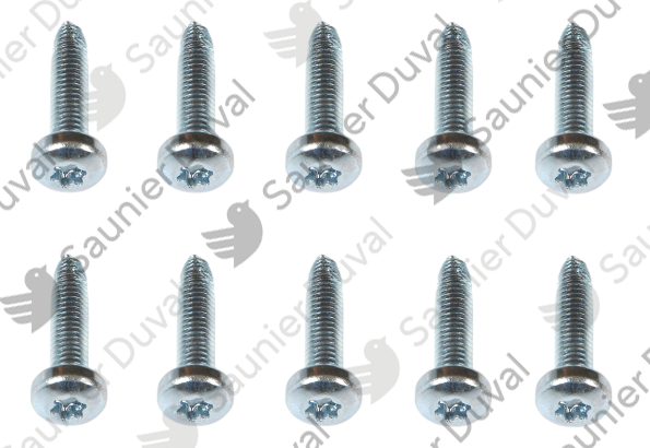 Vis, (x10) Saunier Duval - 0010036511