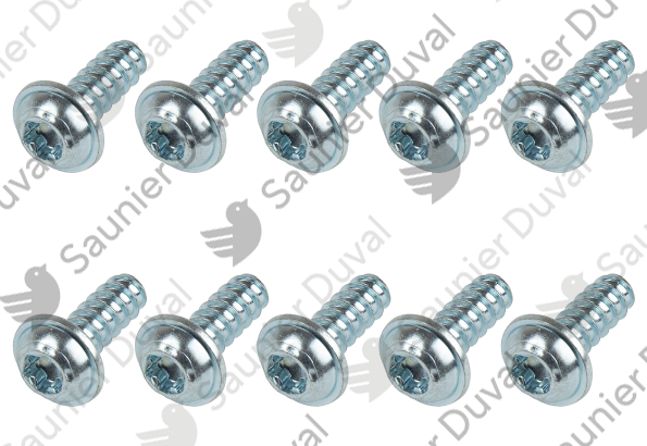 Vis, (x10) Saunier Duval - 0010046086