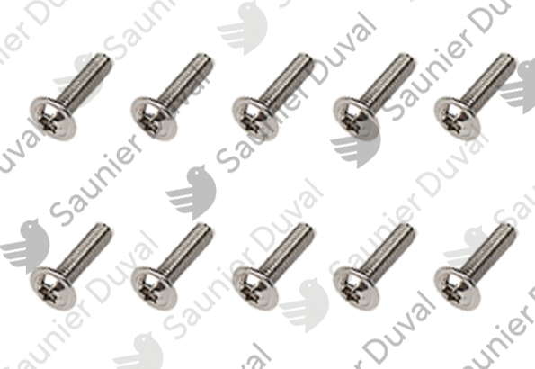 Vis, (x10) Saunier Duval - 0010046947