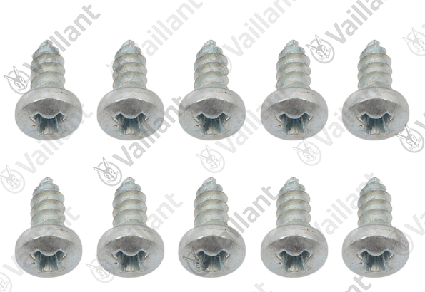 Vis, (x10) Vaillant - 0020008184