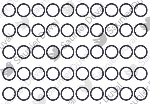 Rondelle de joint, CC, (x50) Saunier Duval - 0020014647
