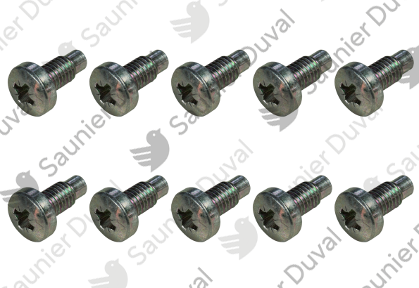 Vis, (x10) Saunier Duval - 0020018435