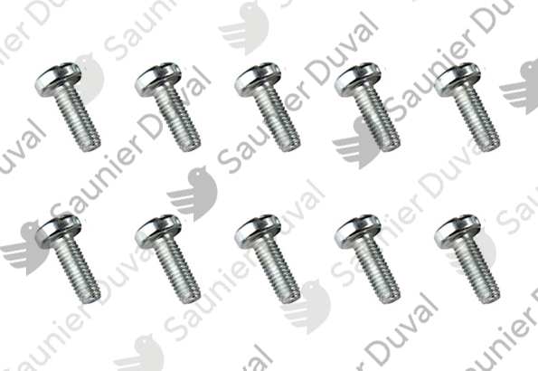 Vis, (x10) Saunier Duval - 0020018447