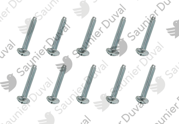 Vis, (x10) Saunier Duval - 0020047015
