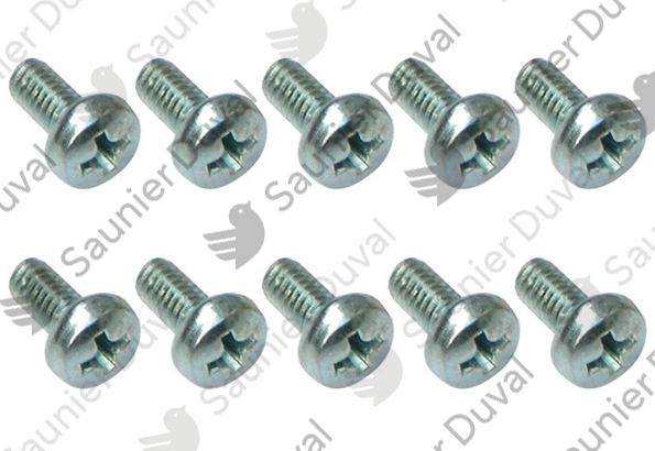 Vis, (x10) Saunier Duval - 0020050108