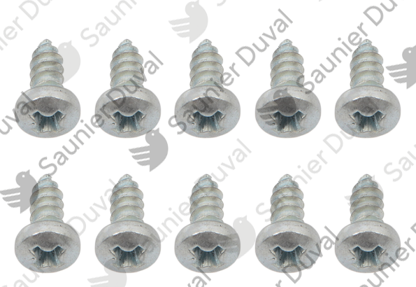Vis, (x10) Saunier Duval - 0020051331