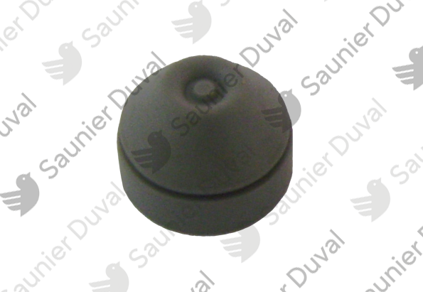 Bouchon Saunier Duval - 0020051348
