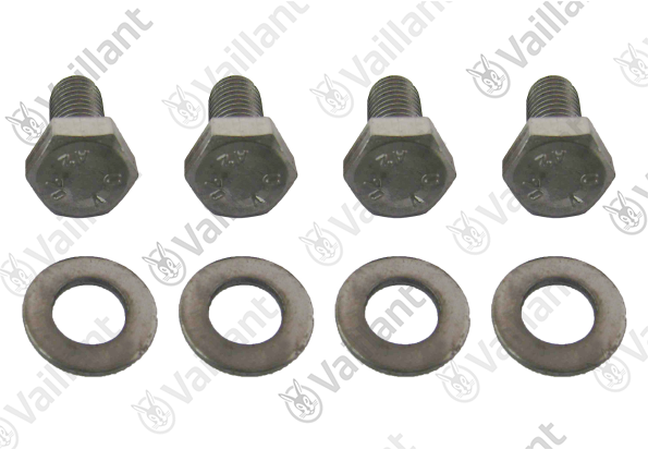 Vis (x4) Vaillant - 0020063634
