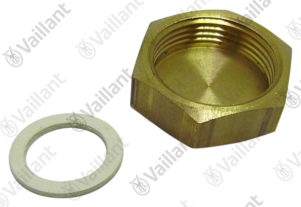 Bouchon Vaillant - 0020064686