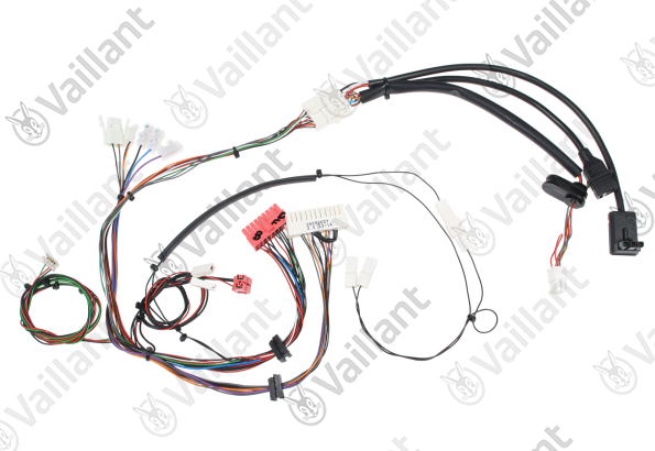 Faisceau (24 V) Vaillant - 0020072343
