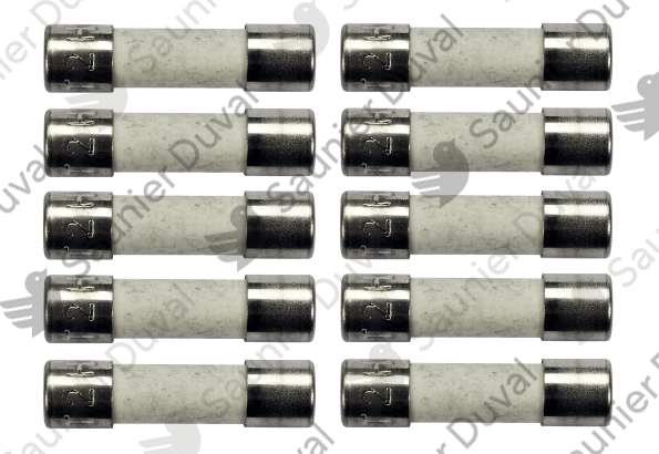Fusible, 2,0 A T2H, (x10) Saunier Duval - 0020079603