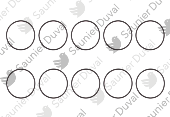 Joint (x10) Saunier Duval - 0020084555
