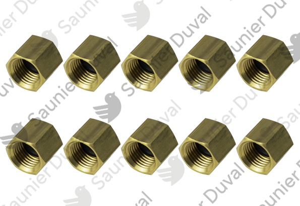 Bouchon pour valve schrader (x10) Saunier Duval - 0020085884