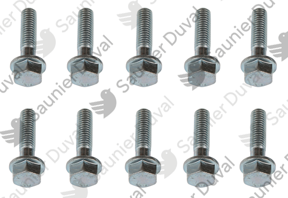 Vis, M8x30, (x10) Saunier Duval - 0020094791