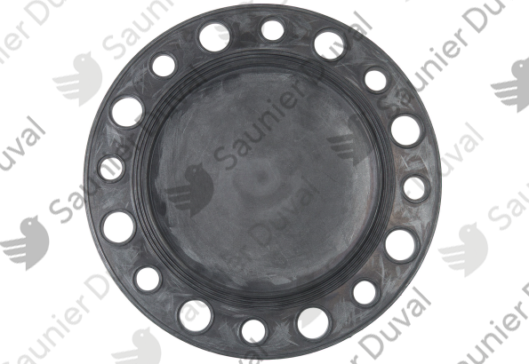 Joint plat, bride Saunier Duval - 0020094793