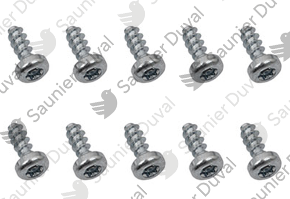 Vis, (x10) Saunier Duval - 0020097184