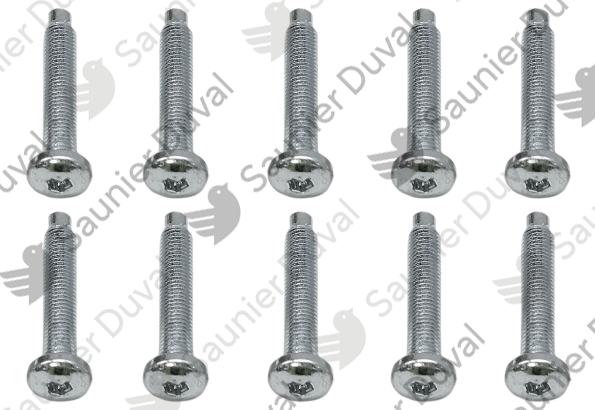 Vis, M5x33, (x10) Saunier Duval - 0020097192