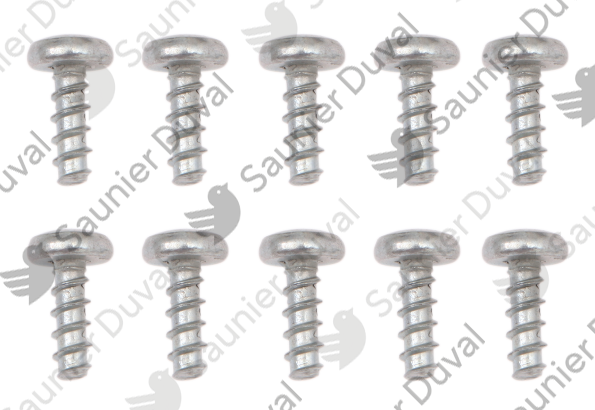 Vis, (x10) Saunier Duval - 0020097250