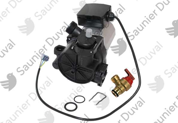 Pompe Saunier Duval - 0020100063