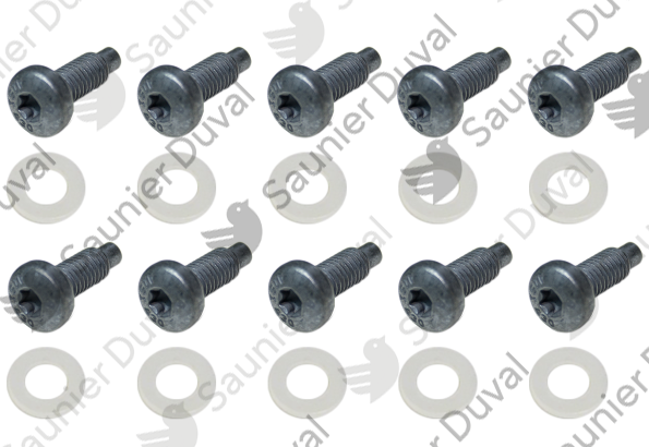 Vis, (x10) Saunier Duval - 0020103286