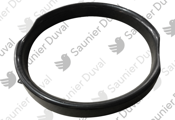 Buse Saunier Duval - 0020127262