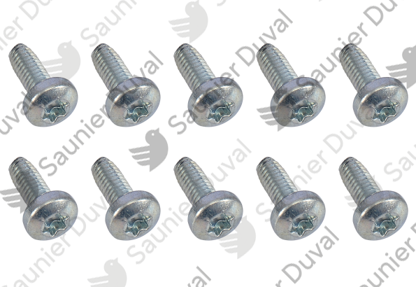 Vis, (x10) Saunier Duval - 0020127491