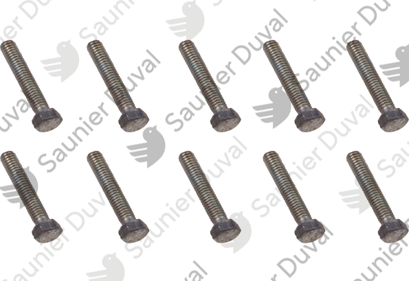 Vis, (x10) Saunier Duval - 0020135314