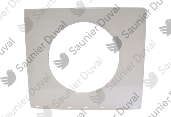 Façade (900 x 790) Saunier Duval - 0020161223