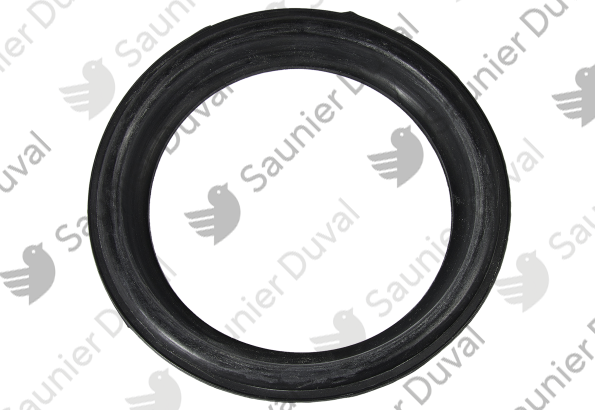 Joint Saunier Duval - 0020171127