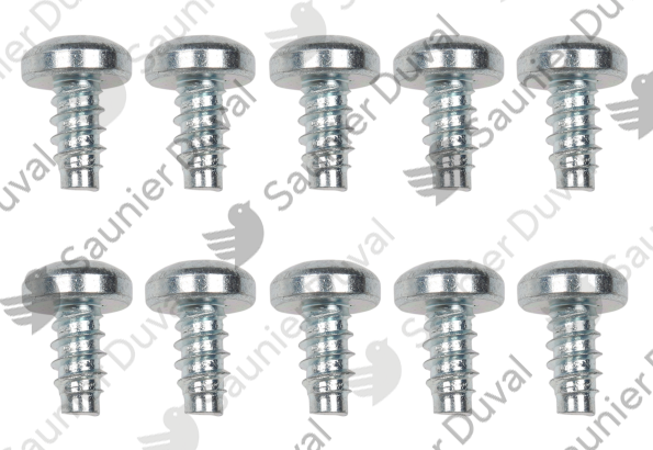 Vis, (x10) Saunier Duval - 0020175576