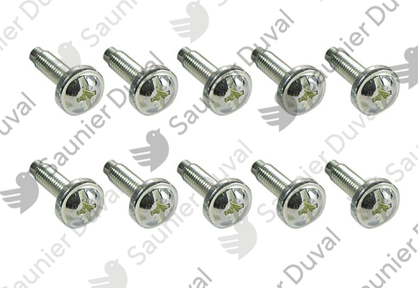 Vis, (x10) Saunier Duval - 0020186865