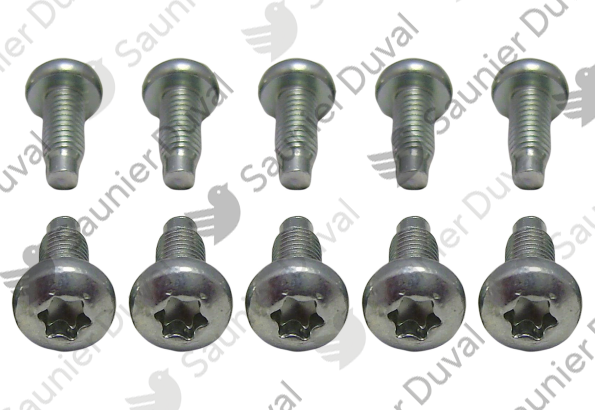Vis, (x10) Saunier Duval - 0020195526