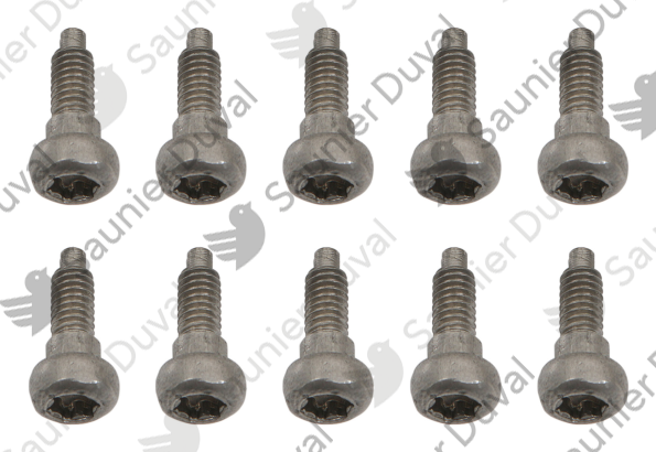 Vis, (x10) Saunier Duval - 0020195532