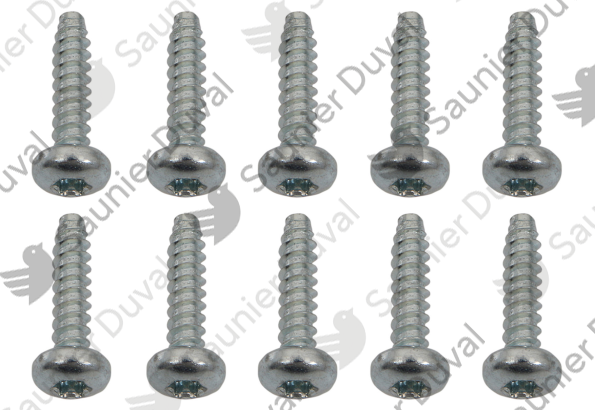 Vis, (x10) Saunier Duval - 0020195594