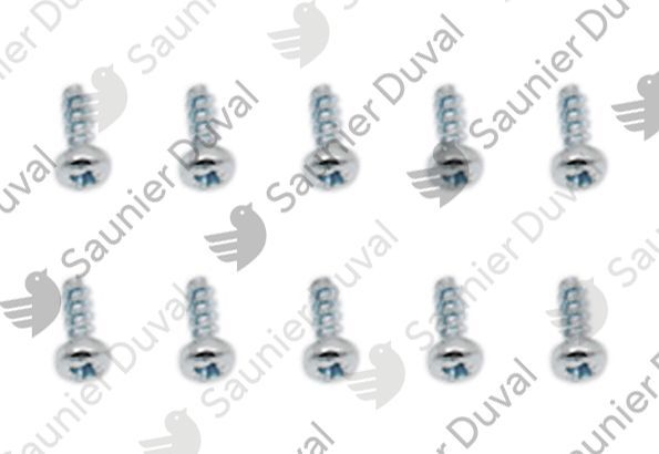 Vis, (x10) Saunier Duval - 0020198287
