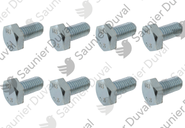 Vis de bride, (x8) Saunier Duval - 0020198387