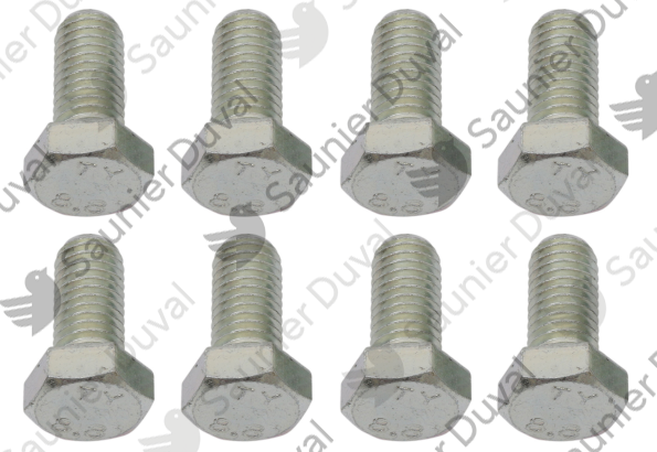 Vis de bride, (x8) Saunier Duval - 0020202841
